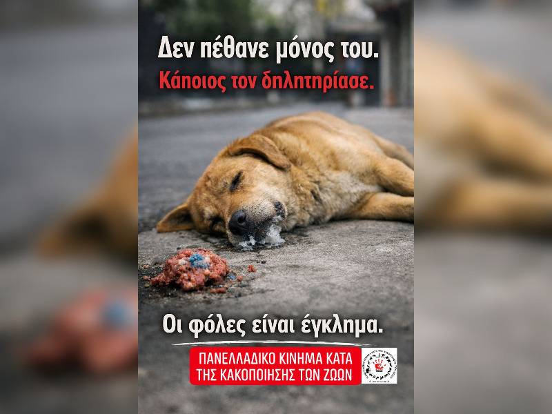 Κακοποίηση ζώων και ακτιβισμός - Η αδέσμευτη φωνή των τετράποδων