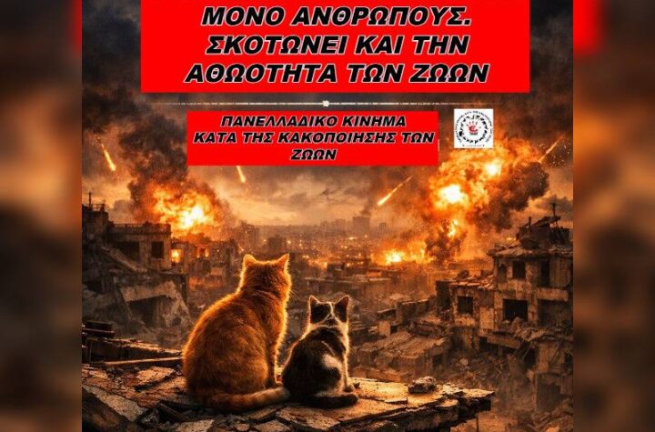 Κακοποίηση ζώων και ακτιβισμός - Η αδέσμευτη φωνή των τετράποδων
