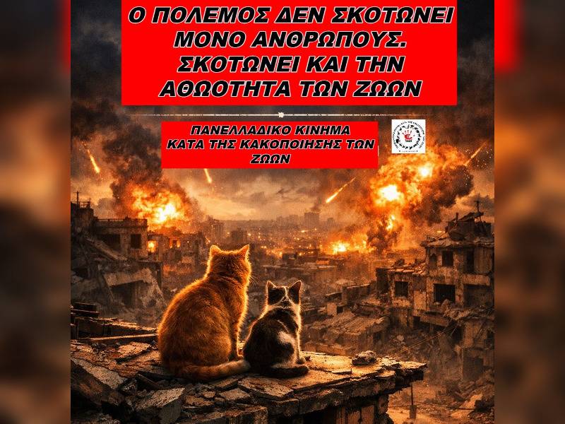 Κακοποίηση ζώων και ακτιβισμός - Η αδέσμευτη φωνή των τετράποδων