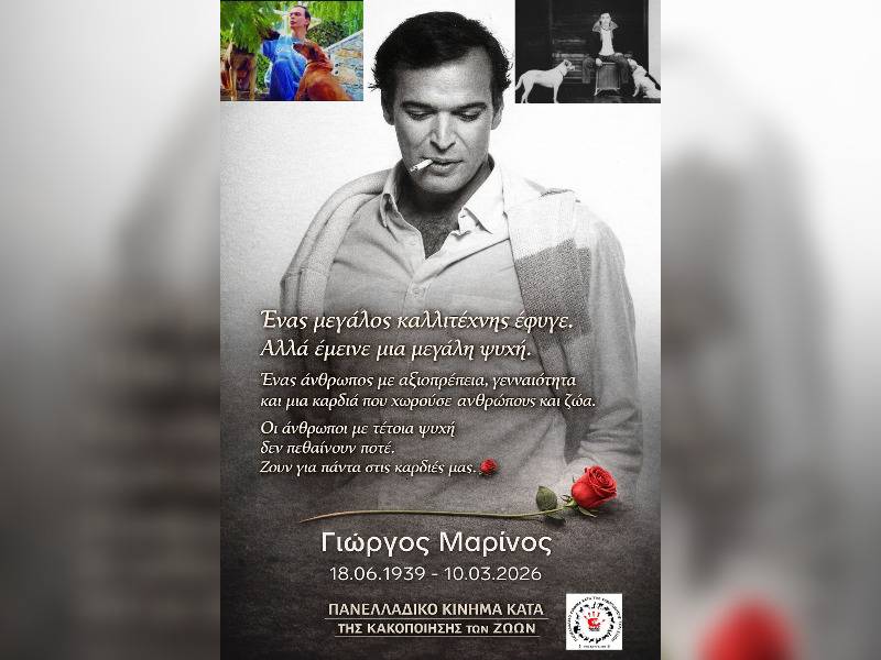 Κακοποίηση ζώων και ακτιβισμός - Η αδέσμευτη φωνή των τετράποδων