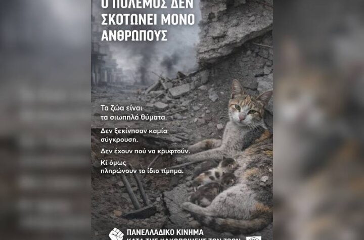 Κακοποίηση ζώων και ακτιβισμός - Η αδέσμευτη φωνή των τετράποδων