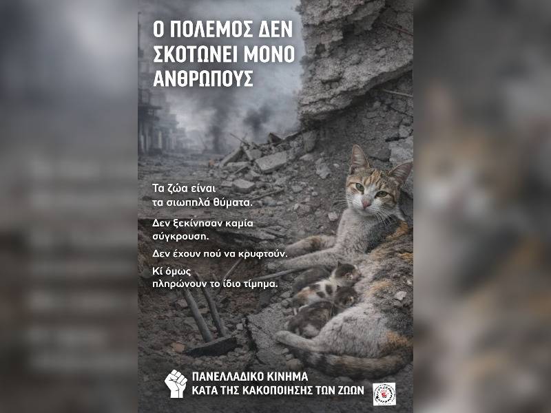 Κακοποίηση ζώων και ακτιβισμός - Η αδέσμευτη φωνή των τετράποδων