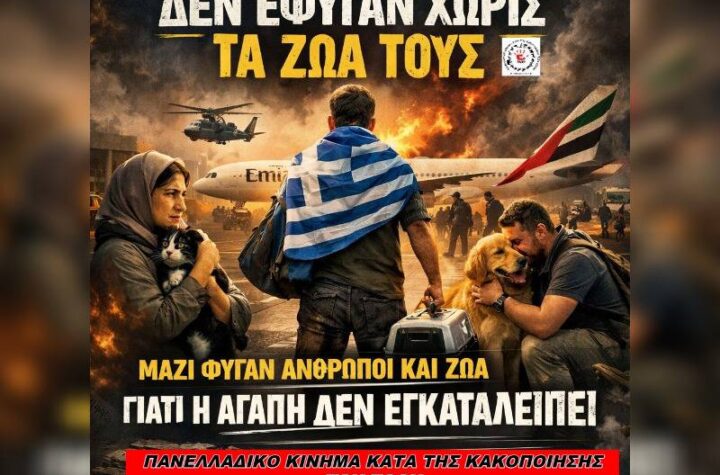 Κακοποίηση ζώων και ακτιβισμός - Η αδέσμευτη φωνή των τετράποδων