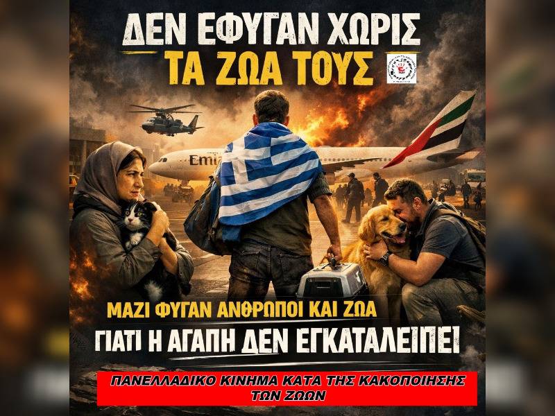 Κακοποίηση ζώων και ακτιβισμός - Η αδέσμευτη φωνή των τετράποδων