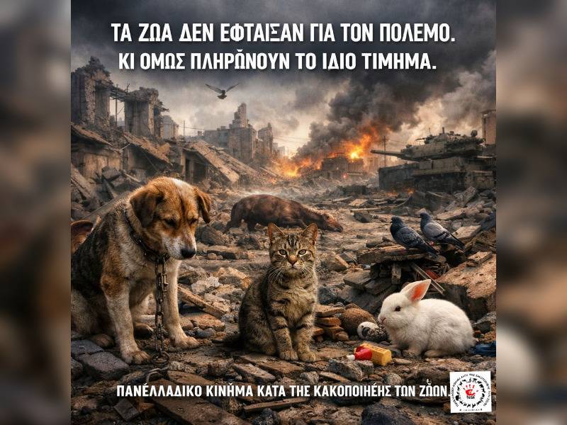 Κακοποίηση ζώων και ακτιβισμός - Η αδέσμευτη φωνή των τετράποδων