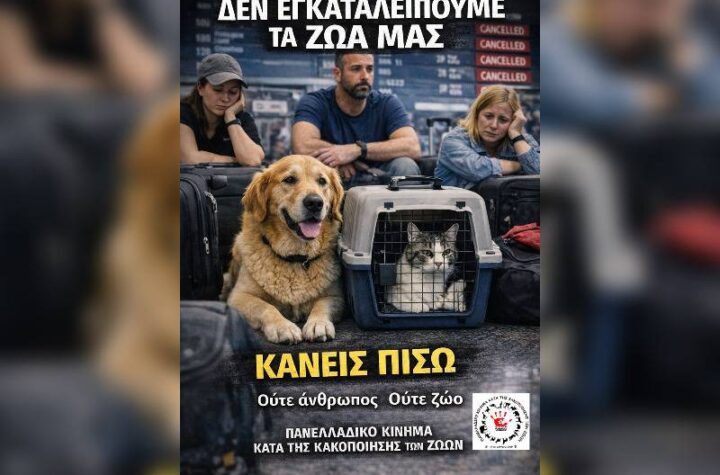 Κακοποίηση ζώων και ακτιβισμός - Η αδέσμευτη φωνή των τετράποδων