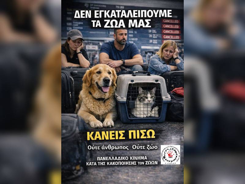 Κακοποίηση ζώων και ακτιβισμός - Η αδέσμευτη φωνή των τετράποδων