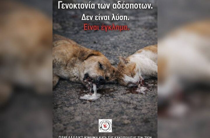 Κακοποίηση ζώων και ακτιβισμός - Η αδέσμευτη φωνή των τετράποδων