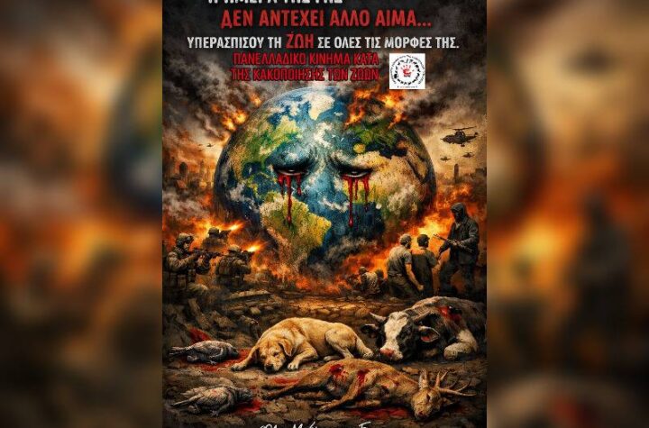 Κακοποίηση ζώων και ακτιβισμός - Η αδέσμευτη φωνή των τετράποδων