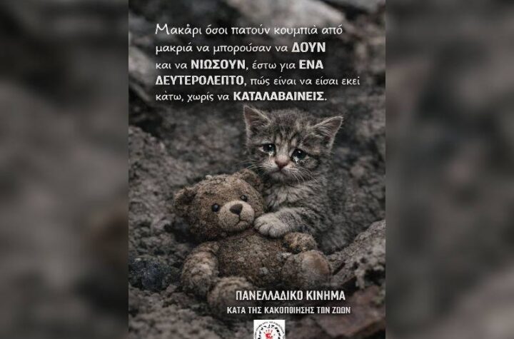 Κακοποίηση ζώων και ακτιβισμός - Η αδέσμευτη φωνή των τετράποδων