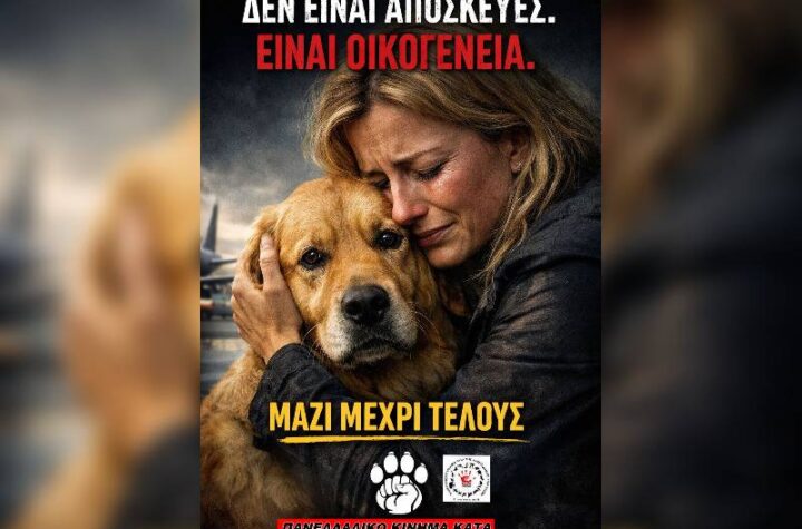 Κακοποίηση ζώων και ακτιβισμός - Η αδέσμευτη φωνή των τετράποδων