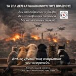 Κακοποίηση ζώων και ακτιβισμός - Η αδέσμευτη φωνή των τετράποδων