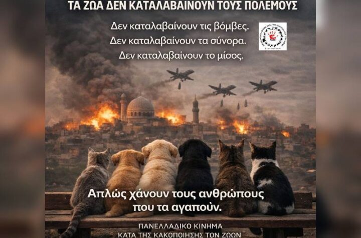 Κακοποίηση ζώων και ακτιβισμός - Η αδέσμευτη φωνή των τετράποδων