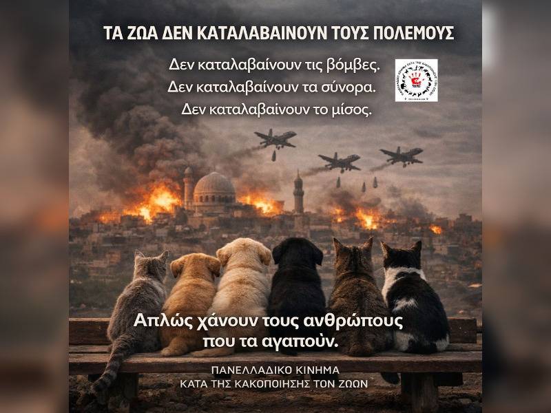 Κακοποίηση ζώων και ακτιβισμός - Η αδέσμευτη φωνή των τετράποδων