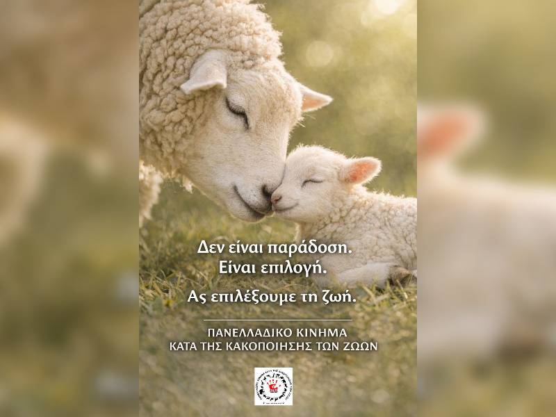 Κακοποίηση ζώων και ακτιβισμός - Η αδέσμευτη φωνή των τετράποδων