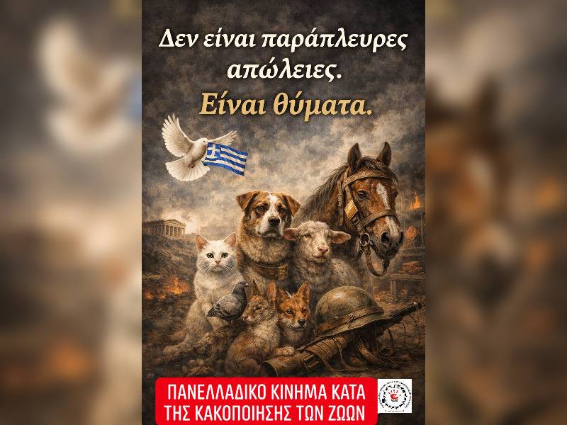 Κακοποίηση ζώων και ακτιβισμός - Η αδέσμευτη φωνή των τετράποδων