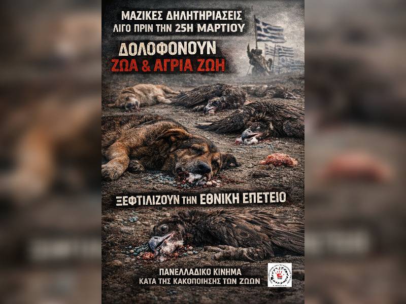 Κακοποίηση ζώων και ακτιβισμός - Η αδέσμευτη φωνή των τετράποδων