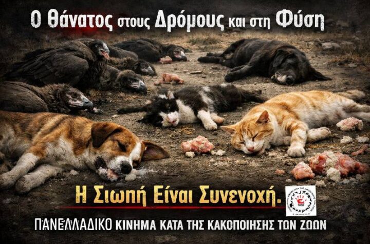 Κακοποίηση ζώων και ακτιβισμός - Η αδέσμευτη φωνή των τετράποδων