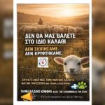 Κακοποίηση ζώων και ακτιβισμός - Η αδέσμευτη φωνή των τετράποδων