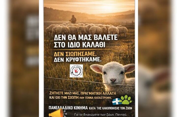 Κακοποίηση ζώων και ακτιβισμός - Η αδέσμευτη φωνή των τετράποδων