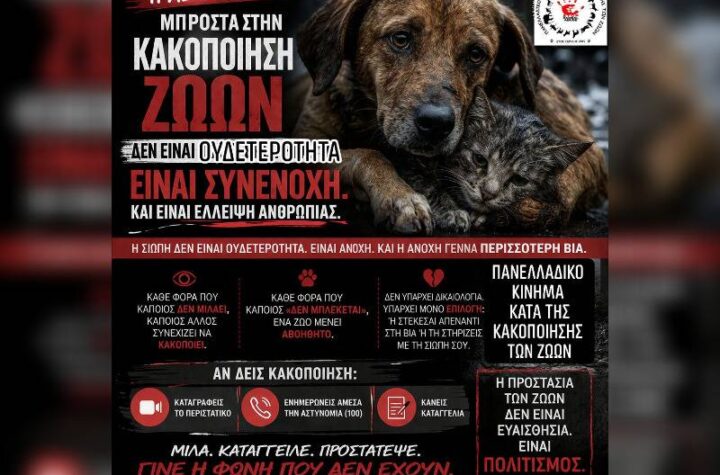 Κακοποίηση ζώων και ακτιβισμός - Η αδέσμευτη φωνή των τετράποδων