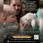 Κακοποίηση ζώων και ακτιβισμός - Η αδέσμευτη φωνή των τετράποδων