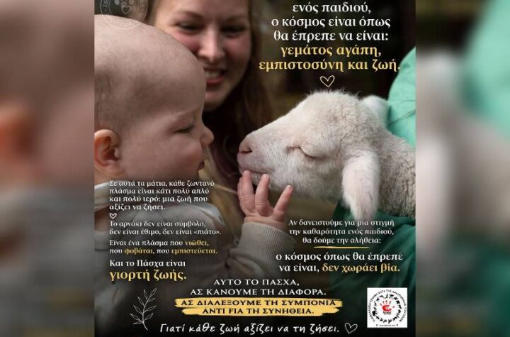 Κακοποίηση ζώων και ακτιβισμός - Η αδέσμευτη φωνή των τετράποδων