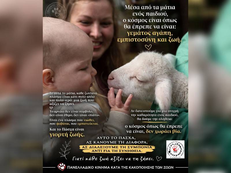 Κακοποίηση ζώων και ακτιβισμός - Η αδέσμευτη φωνή των τετράποδων