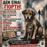 Η ντροπή έχει ημερομηνία: Η “Ημέρα Αδέσποτων Ζώων”, ως σύμβολο γενοκτονίας-ζωοκτονιας, εγκατάλειψης, ατιμωρησίας και υποκρισίας