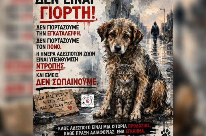 Κακοποίηση ζώων και ακτιβισμός - Η αδέσμευτη φωνή των τετράποδων