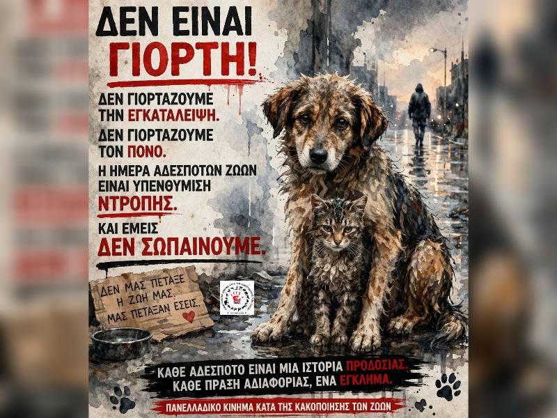 Κακοποίηση ζώων και ακτιβισμός - Η αδέσμευτη φωνή των τετράποδων