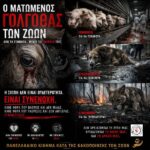 Κακοποίηση ζώων και ακτιβισμός - Η αδέσμευτη φωνή των τετράποδων