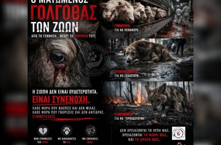 Κακοποίηση ζώων και ακτιβισμός - Η αδέσμευτη φωνή των τετράποδων