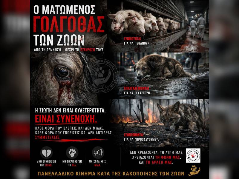 Κακοποίηση ζώων και ακτιβισμός - Η αδέσμευτη φωνή των τετράποδων