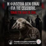 Κακοποίηση ζώων και ακτιβισμός - Η αδέσμευτη φωνή των τετράποδων