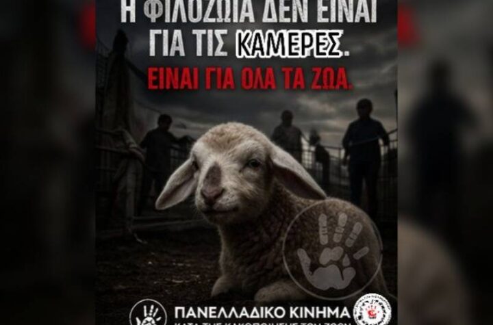 Κακοποίηση ζώων και ακτιβισμός - Η αδέσμευτη φωνή των τετράποδων