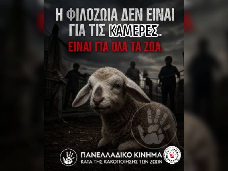 Κακοποίηση ζώων και ακτιβισμός - Η αδέσμευτη φωνή των τετράποδων