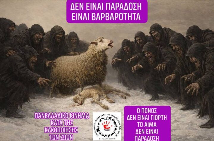 Κακοποίηση ζώων και ακτιβισμός - Η αδέσμευτη φωνή των τετράποδων