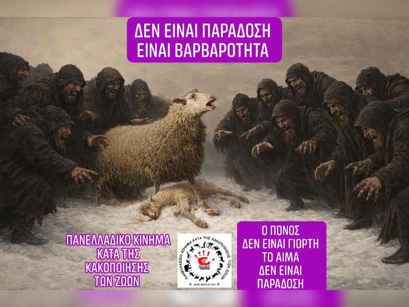 Κακοποίηση ζώων και ακτιβισμός - Η αδέσμευτη φωνή των τετράποδων