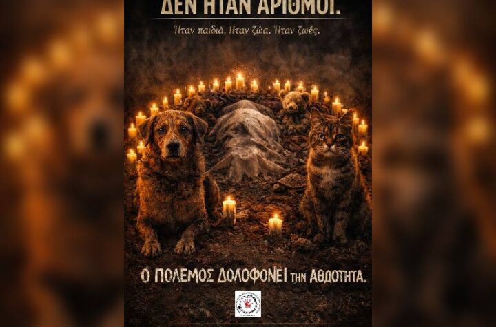 Κακοποίηση ζώων και ακτιβισμός - Η αδέσμευτη φωνή των τετράποδων