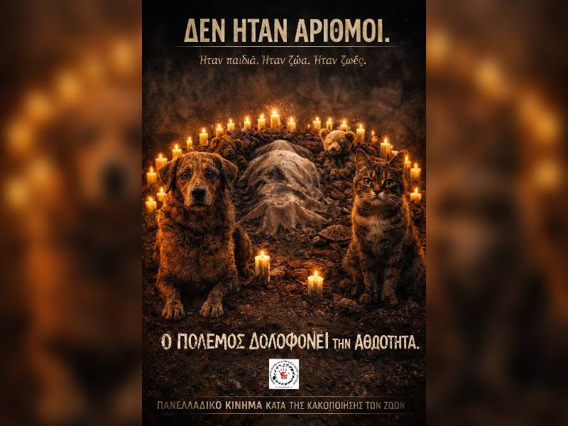 Κακοποίηση ζώων και ακτιβισμός - Η αδέσμευτη φωνή των τετράποδων