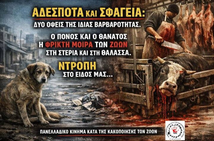 Κακοποίηση ζώων και ακτιβισμός - Η αδέσμευτη φωνή των τετράποδων