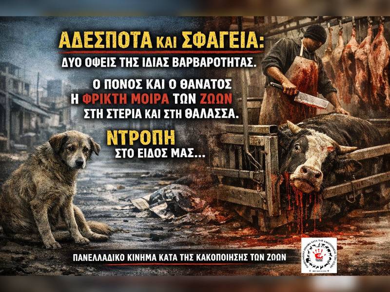 Κακοποίηση ζώων και ακτιβισμός - Η αδέσμευτη φωνή των τετράποδων