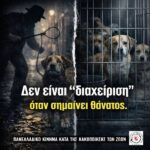 Κακοποίηση ζώων και ακτιβισμός - Η αδέσμευτη φωνή των τετράποδων