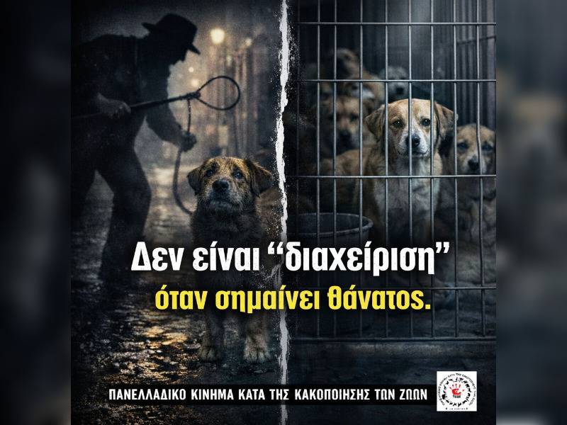 Κακοποίηση ζώων και ακτιβισμός - Η αδέσμευτη φωνή των τετράποδων