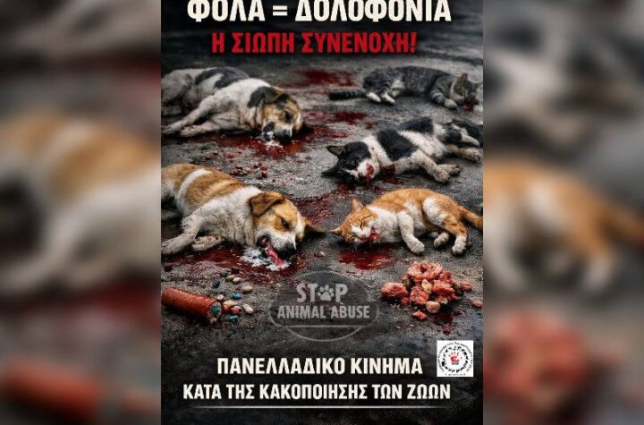 Κακοποίηση ζώων και ακτιβισμός - Η αδέσμευτη φωνή των τετράποδων