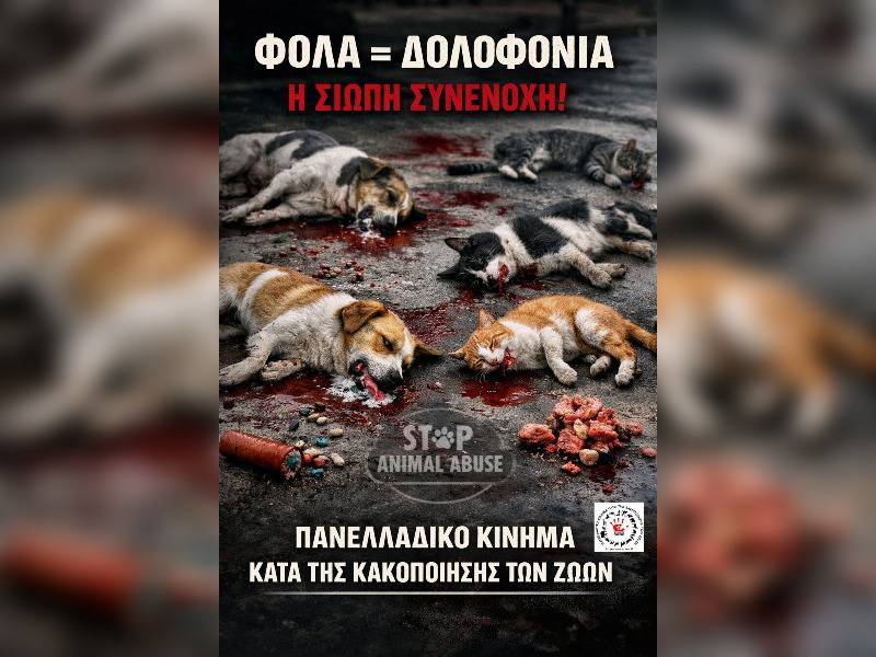 Κακοποίηση ζώων και ακτιβισμός - Η αδέσμευτη φωνή των τετράποδων