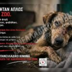 Κακοποίηση ζώων και ακτιβισμός - Η αδέσμευτη φωνή των τετράποδων