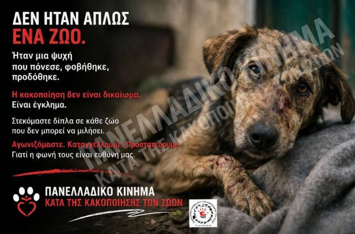 Κακοποίηση ζώων και ακτιβισμός - Η αδέσμευτη φωνή των τετράποδων