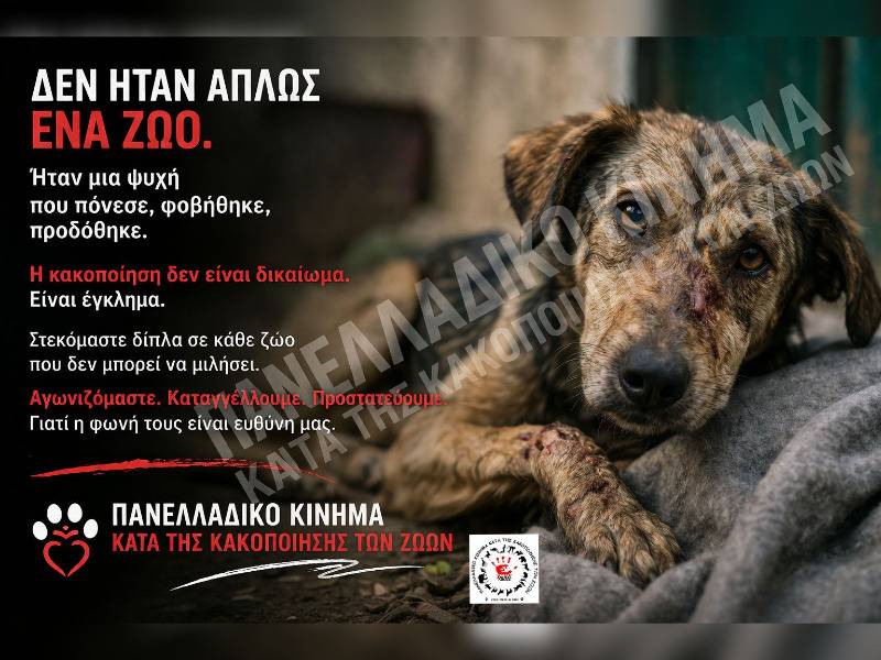 Κακοποίηση ζώων και ακτιβισμός - Η αδέσμευτη φωνή των τετράποδων